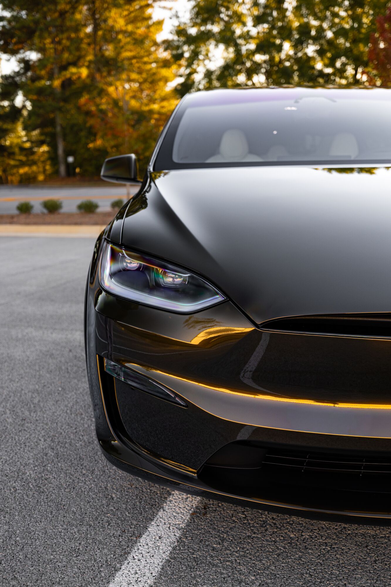 Front of a protected Tesla Model X showing a deep gloss finish